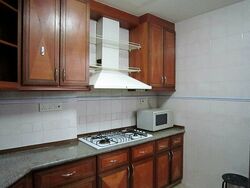 Dover Parkview (D5), Condominium #624578241